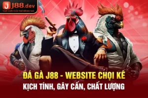 Đá Gà link vao w88 - Website Chọi Kê Kịch Tính, Gây Cấn, Chất Lượng